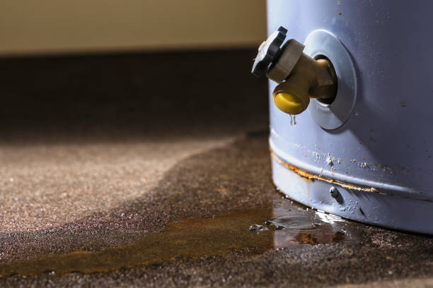 Best Water damage restoration experts  in Cookeville, TN