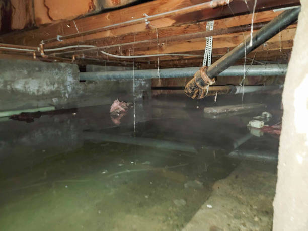Best Fire Damage Restoration  in Cookeville, TN
