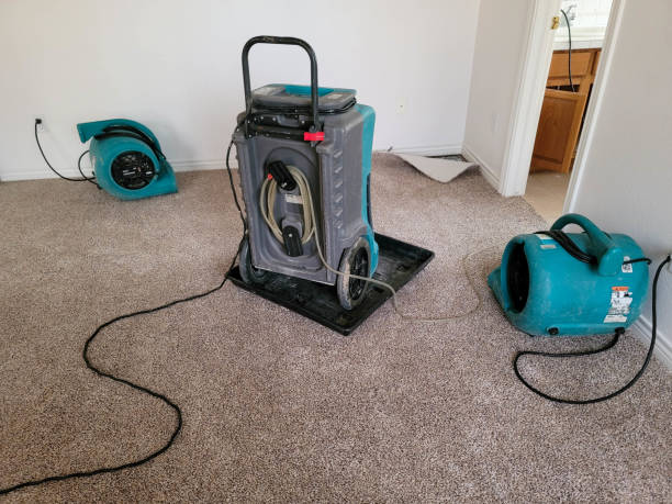 Best Fire Damage Restoration  in Cookeville, TN