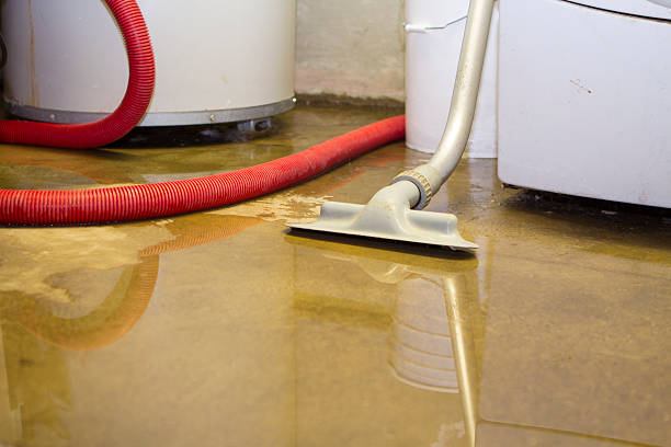 Best Mold removal after water damage  in Cookeville, TN