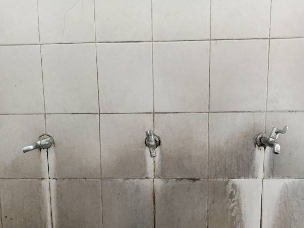 Sewage cleanup and water damage restoration in TN