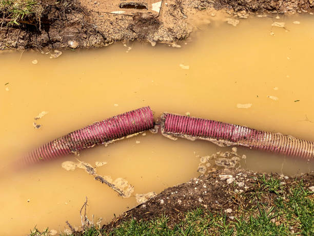 Best Basement water damage restoration  in Cookeville, TN