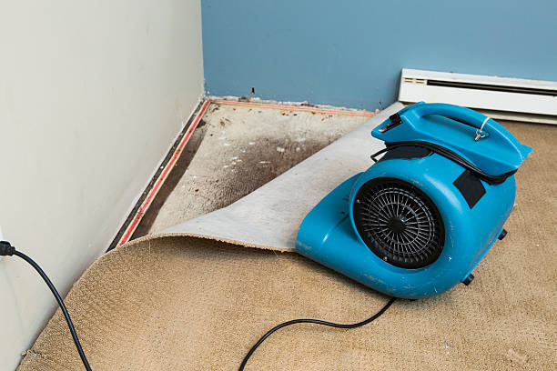 Best Emergency water damage restoration  in Cookeville, TN